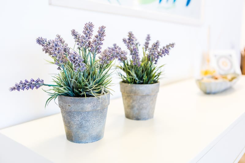 דירה ברחובות