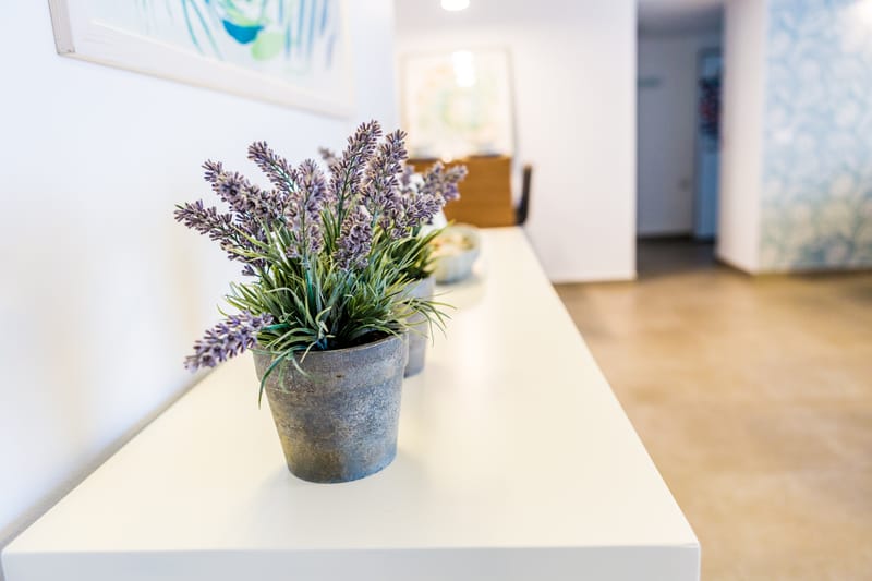 דירה ברחובות