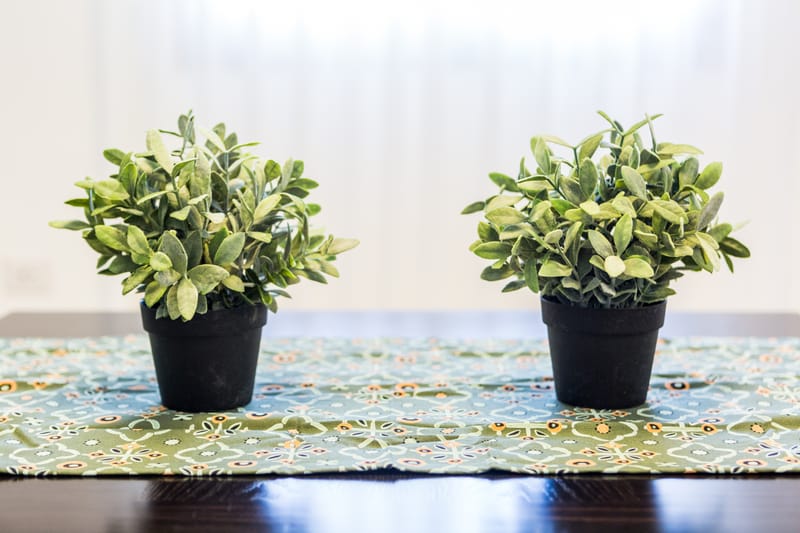 דירה ברחובות