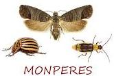 MONPERES