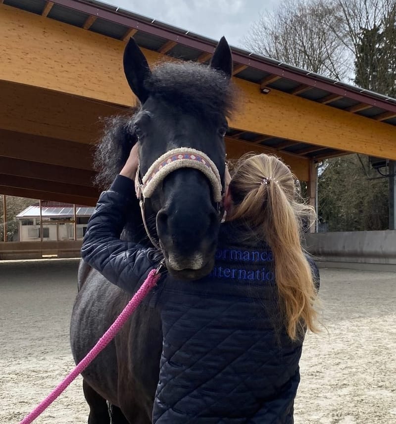 Tierphysiotherapie & Tierosteopathie