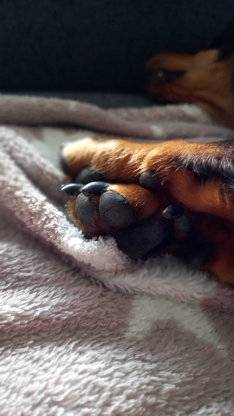 Wellness & Humanphysiotherapie