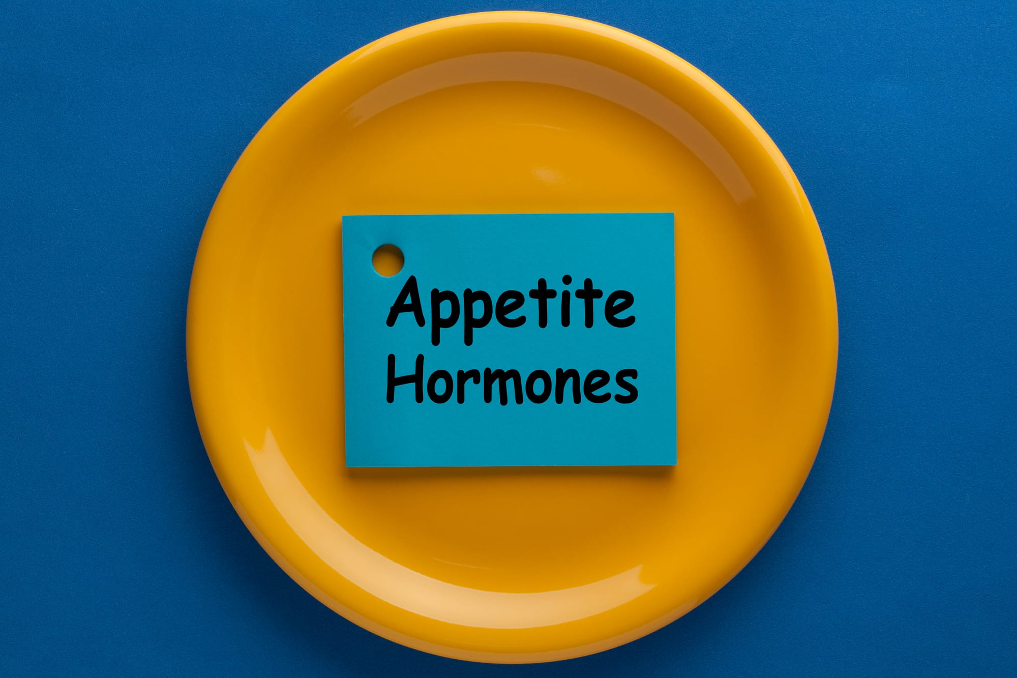 A new fat hormone that controls appetite