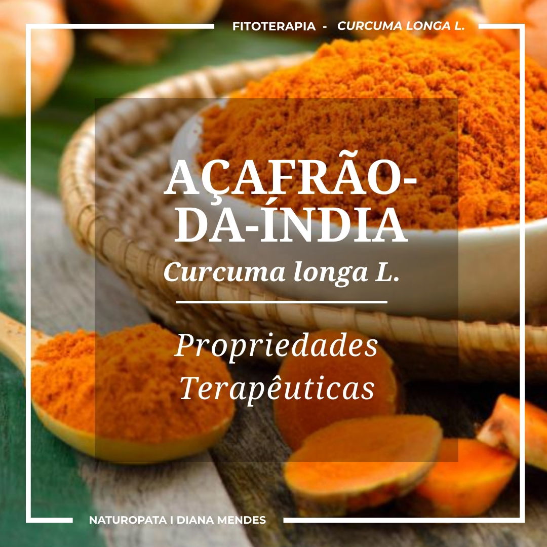 Açafrão-da-Índia (Curcuma longa)