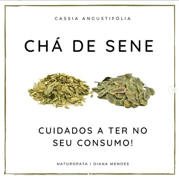 Chá de sene - Cuidados a ter no seu consumo!