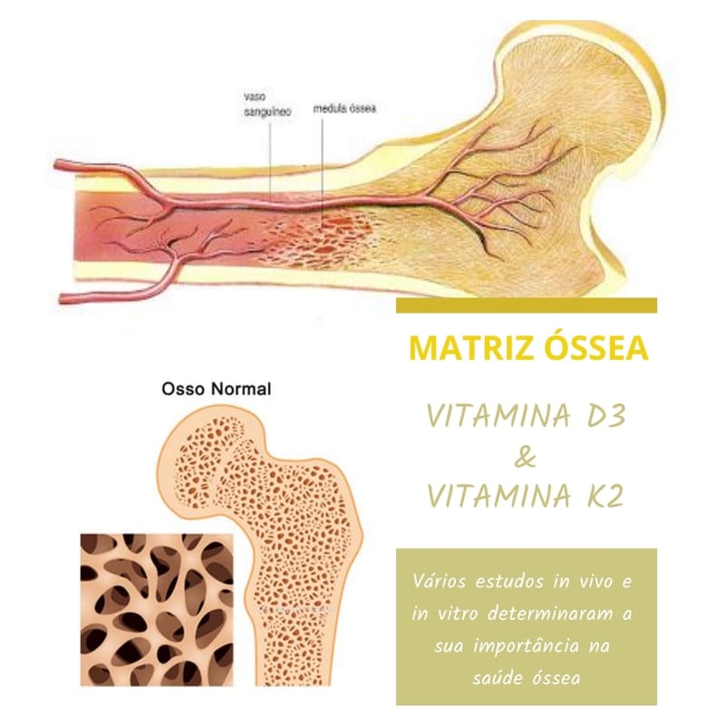 Vitamina D-3 e Vitamina K-2