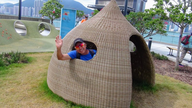 相片及短片分享