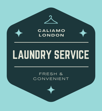 Laundry & Dry Cleaning Service