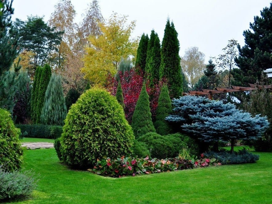 Snoeien van struiken en bomen