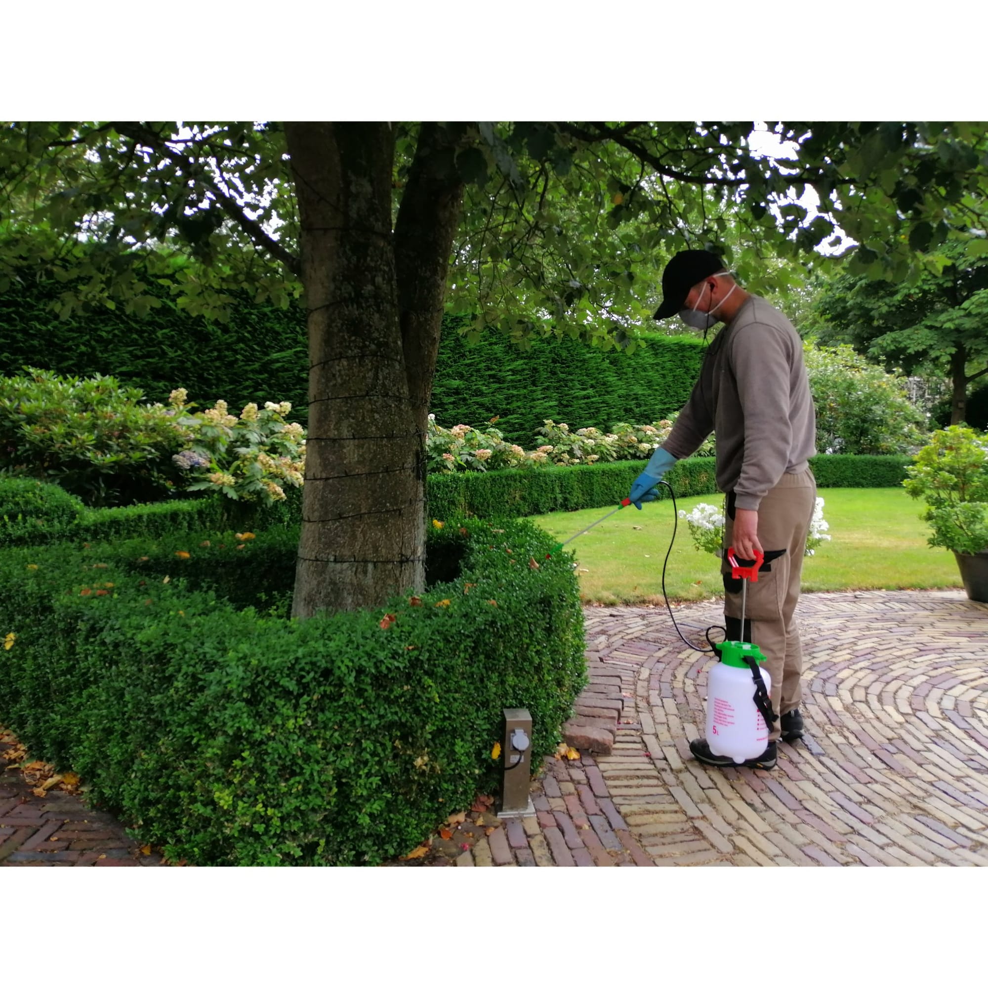 Ongediertebestrijding