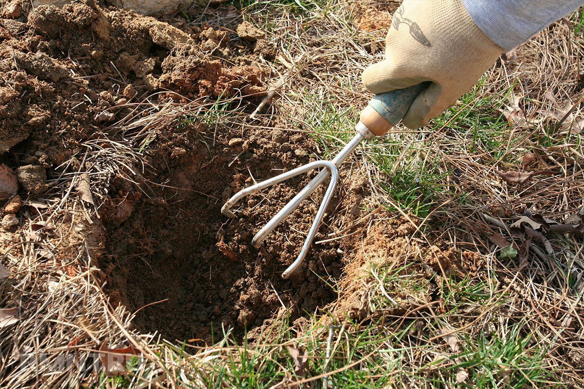 Bodemanalyse, bodemverrijking, tuiniertips