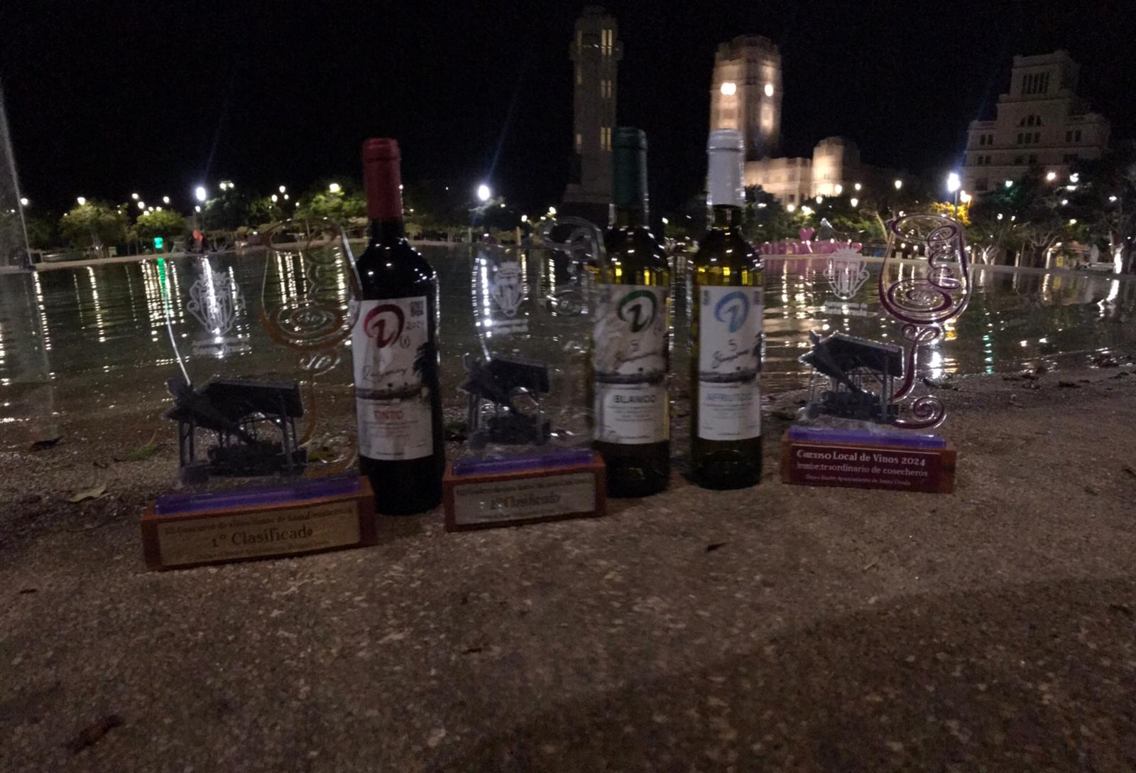 Vinos premiados en el XX concurso de vinos de Santa Ursula 2024