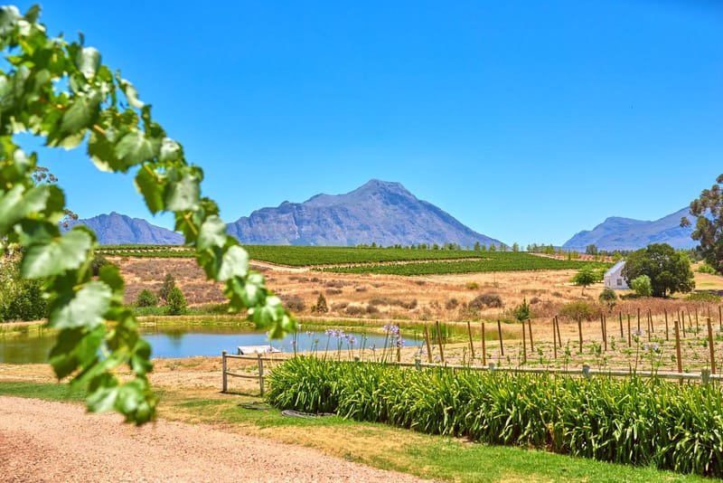 Cape Winelands Tours