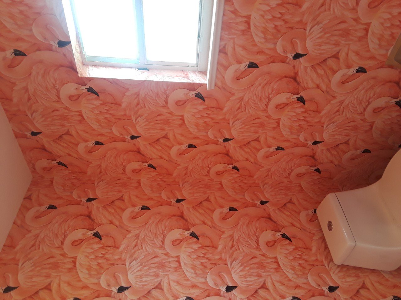 Wallpaper Installations