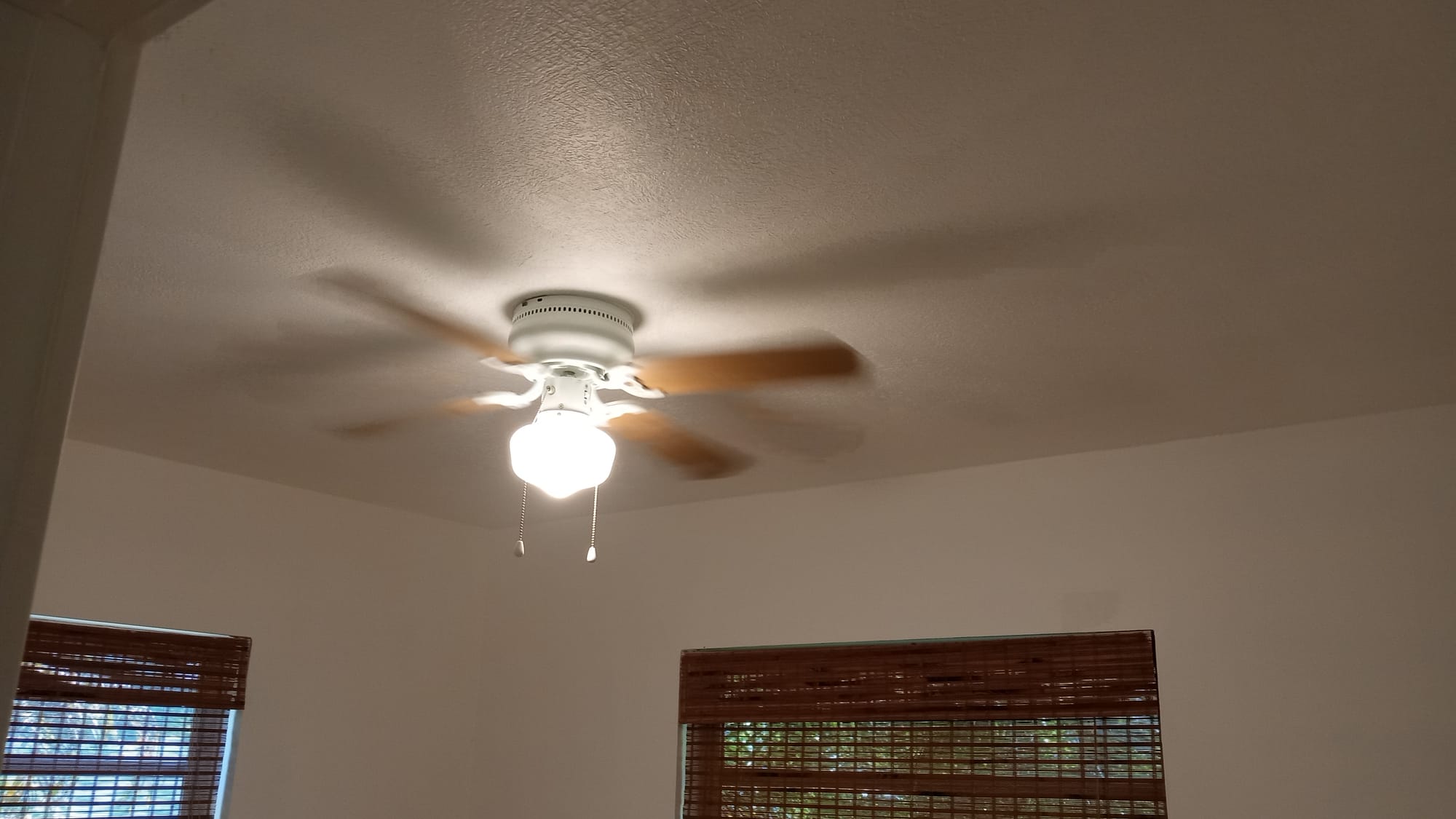 Interior Painting & repairs