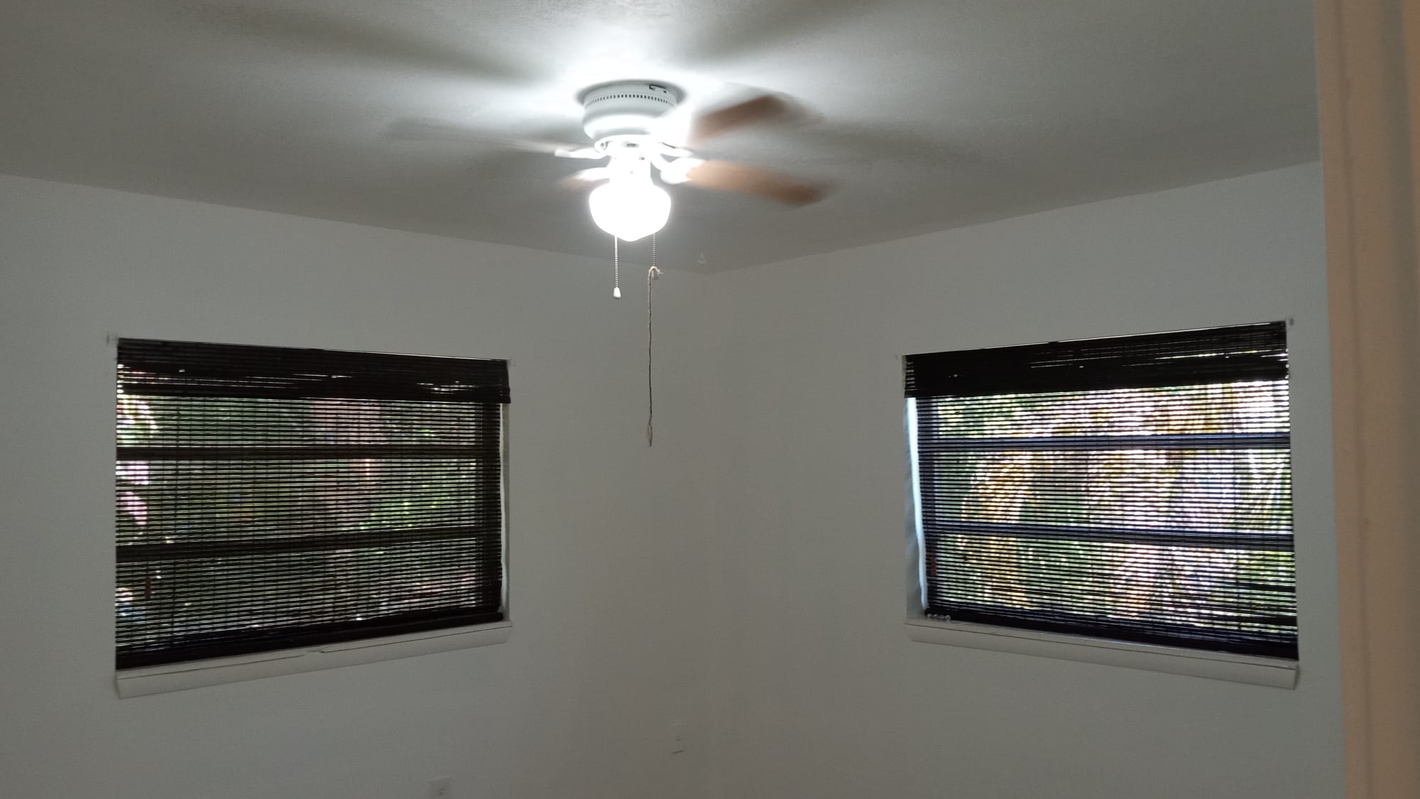 Interior Painting & repairs