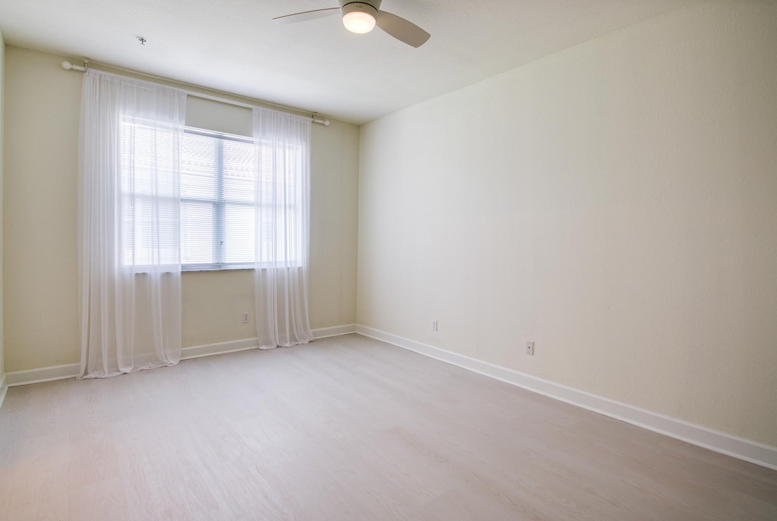 Interior Painting & repairs