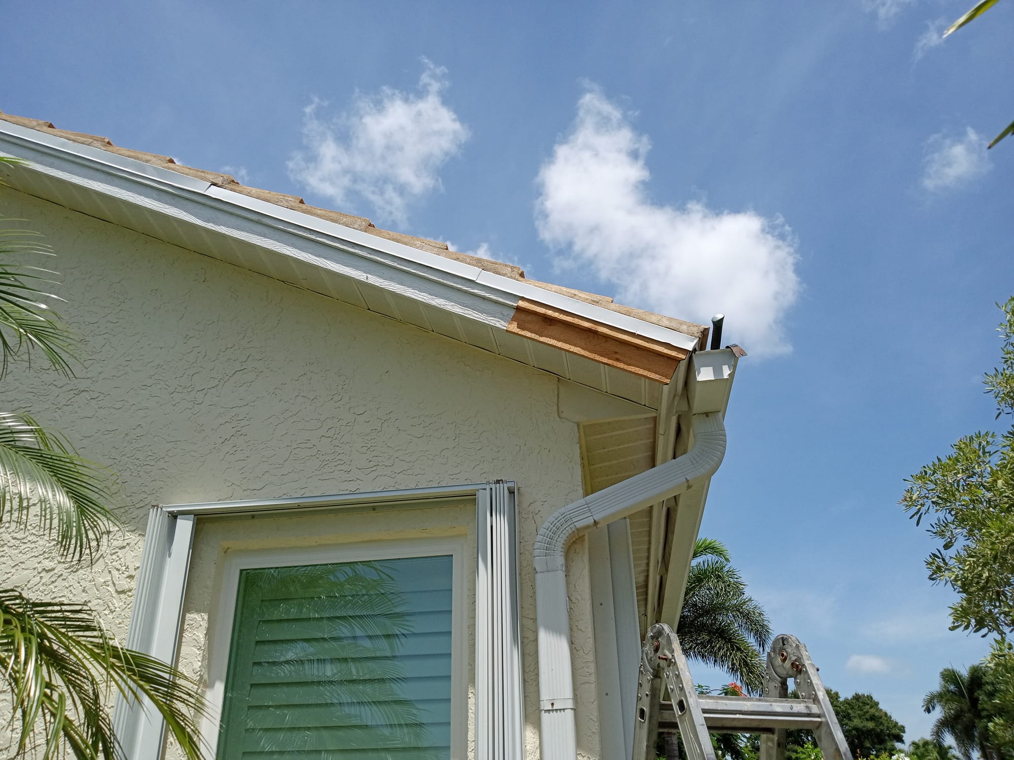 Exterior Painting & Repairs