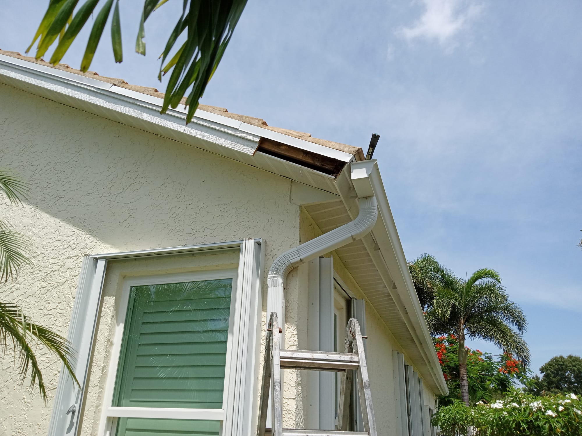 Exterior Painting & Repairs
