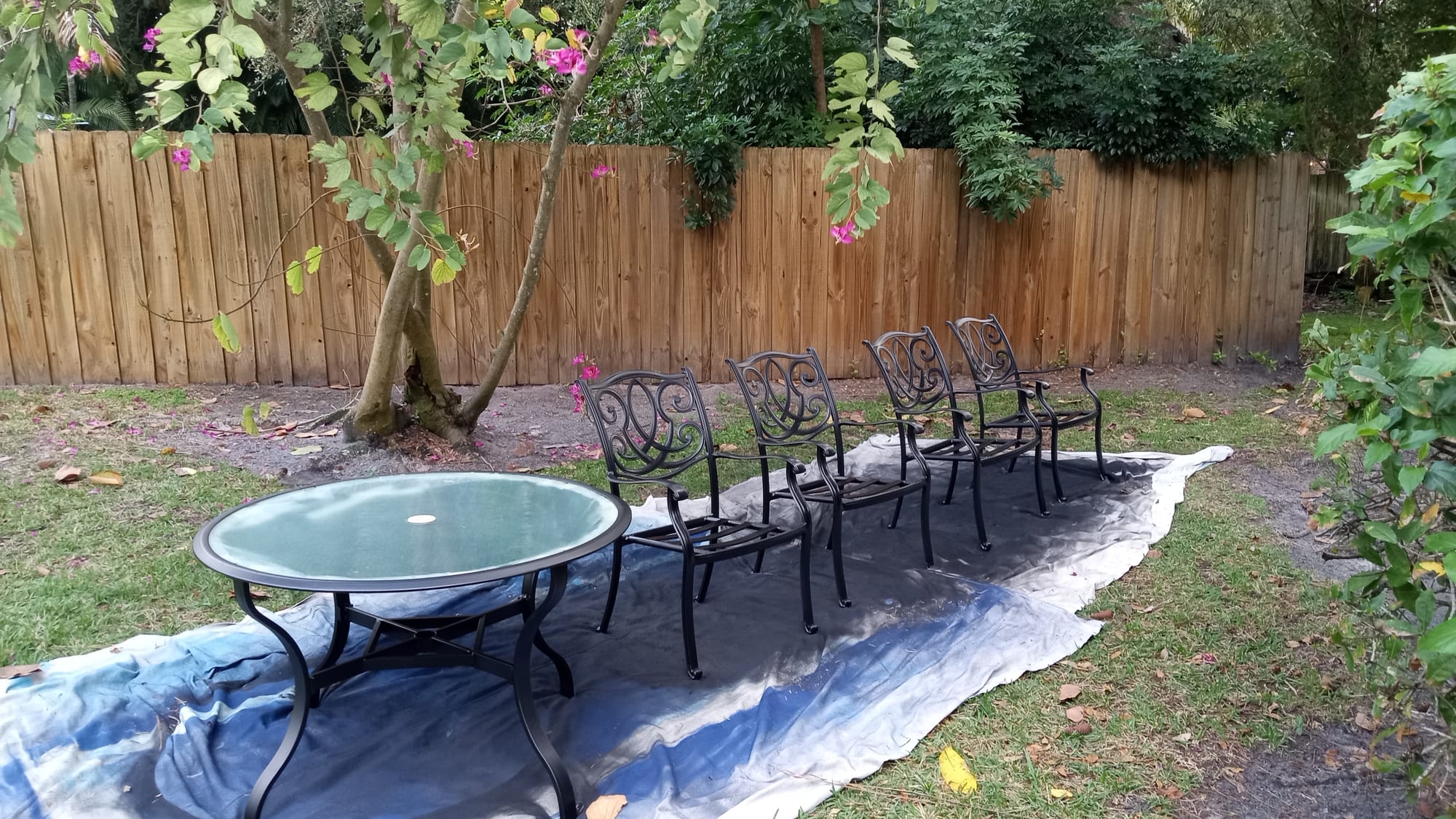 Exterior Painting & Repairs