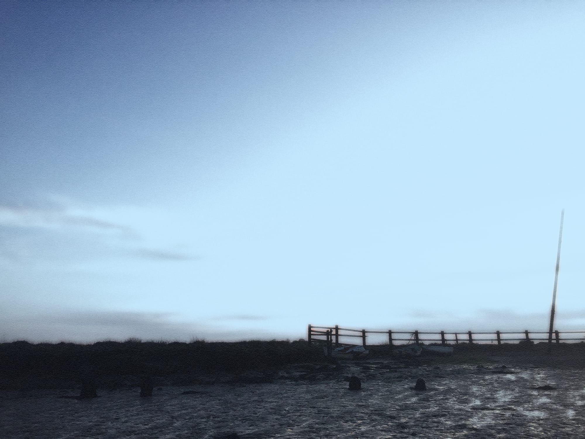 Murmuration at Kyson Point