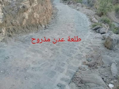 طلعة عدن مذروح