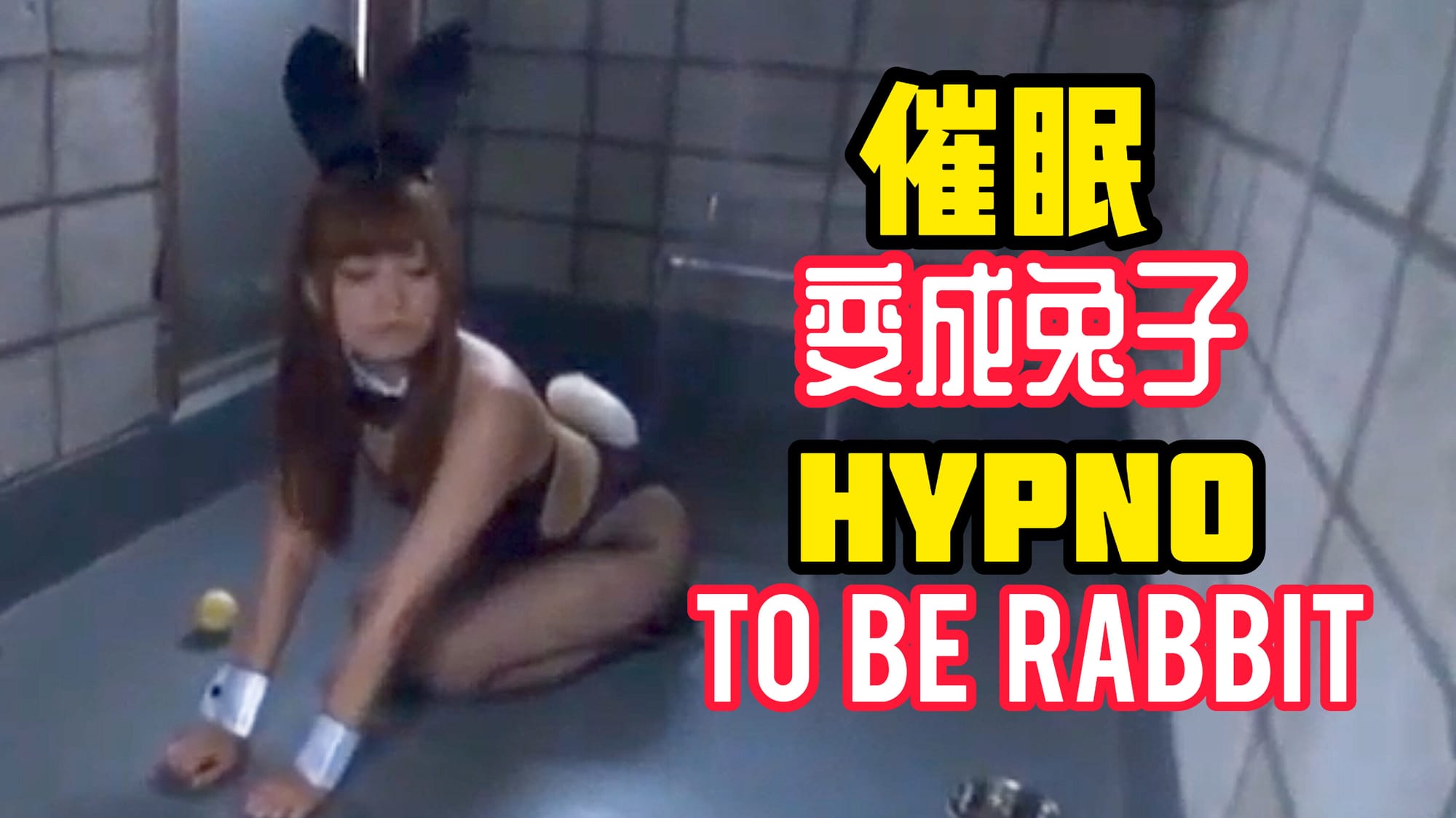 催眠变成兔子