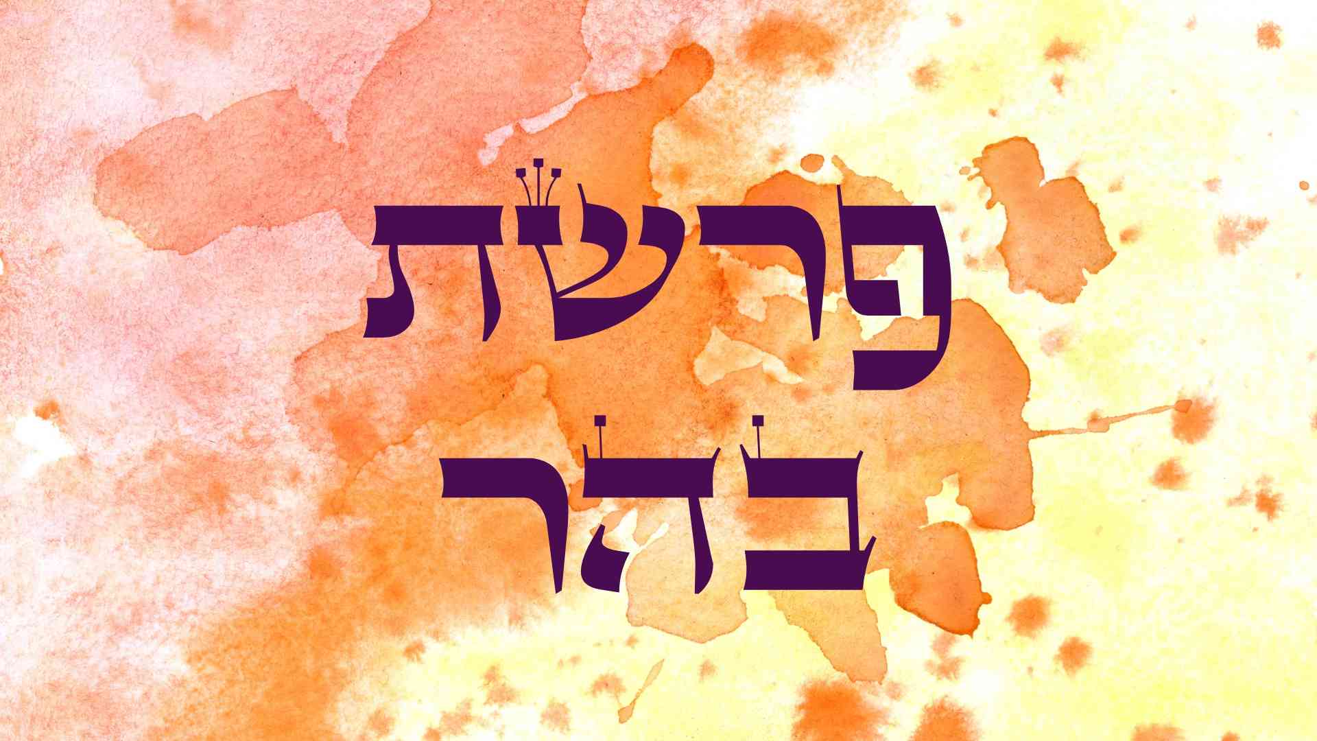 פָּרָשַׁת 'בְּהַר' - הַנֵּס שֶׁבַּמָּקוֹם הַגָּבוֹהַּ
