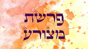 פָּרָשַׁת 'מְצוֹרָע' - זָכָר שֶׁלֹּא הֵבִין אֶת כְּאֵבוֹ הֶעָמֹק נִמְצָא בְּמָצוֹר רַע.
