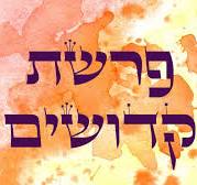 פָּרָשַׁת קְדוֹשִׁים - היא קריאה להיות שוקדים על האמת.