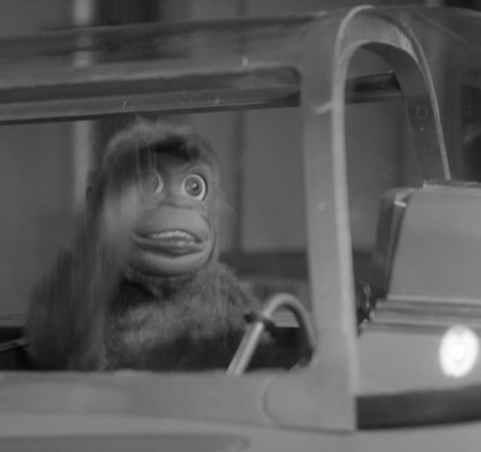 Mitch the Monkey Screen Shot