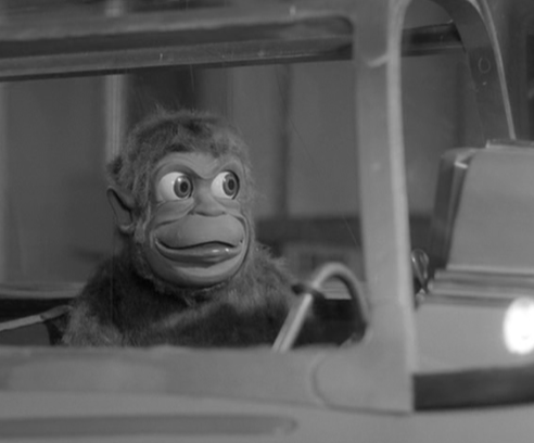 Mitch the Monkey Screen Shot