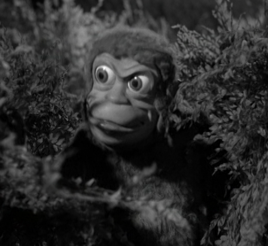 Mitch the Monkey Screen Shot