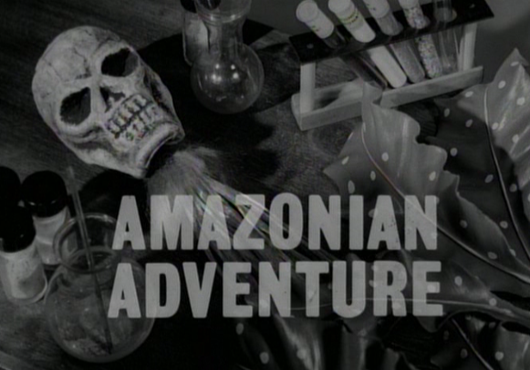 Amazonian Adventure