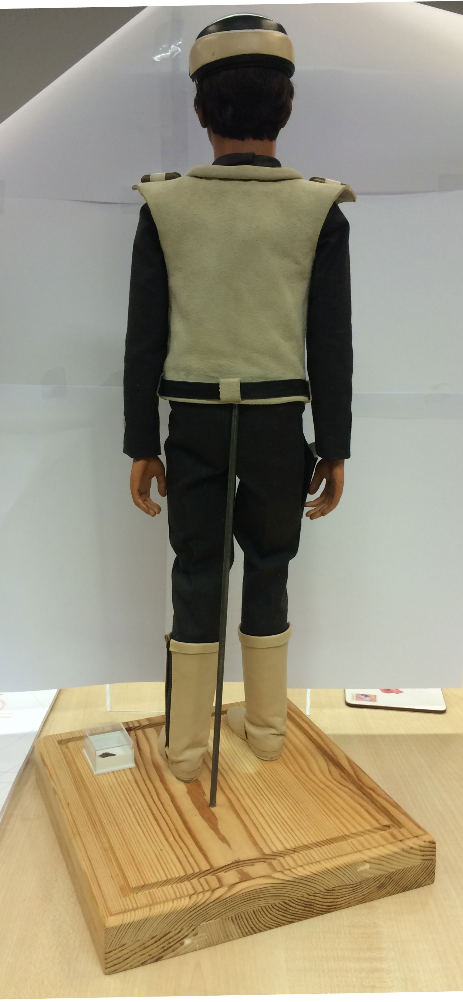 Dr Fawn original (different)