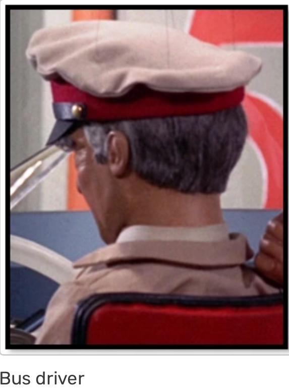 Bus Driver