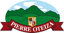 Pierre Oteiza , le sauveur ...