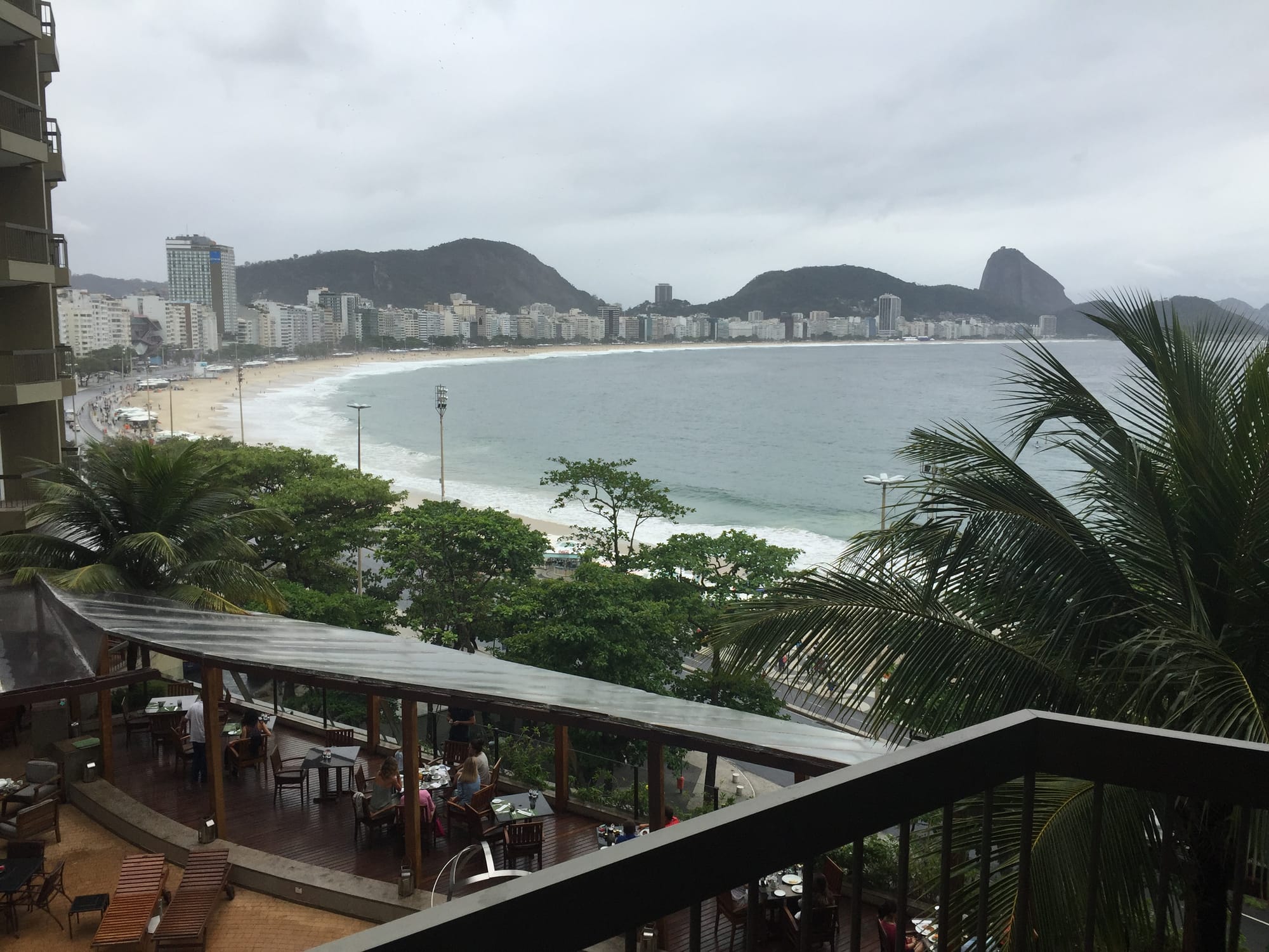 Rio in Grey
