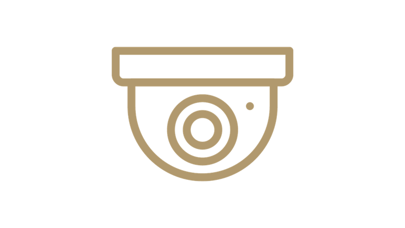 State of the Art Surveillance and Alarm System