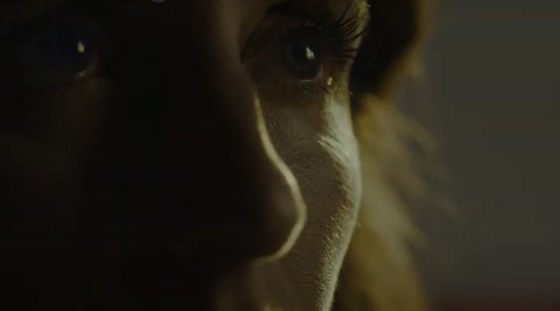 Regresso aos Cinemas