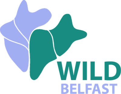 Wild Belfast