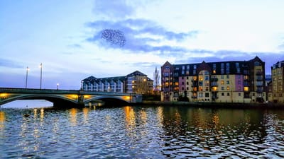 From Conor McKinney - Chair of Wild Belfast