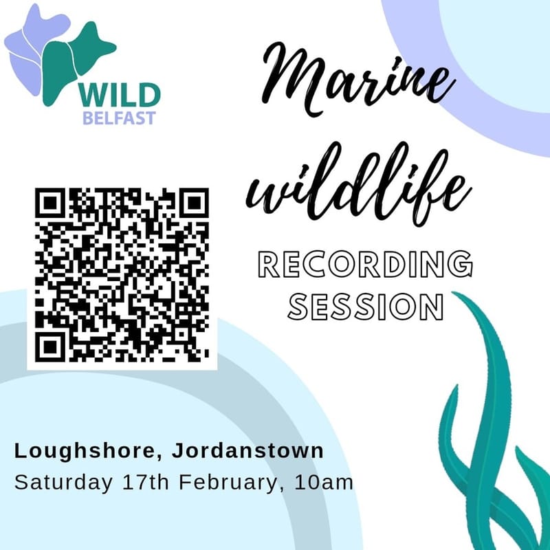 Marine Wildlife Recording Session