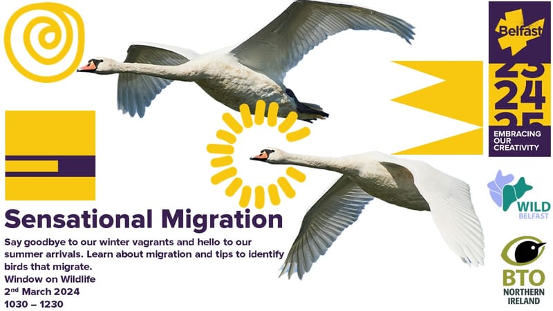 Sensational Migration