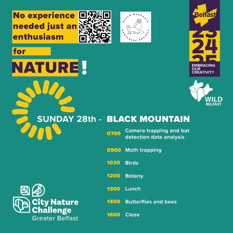 City Nature Challenge Day 2