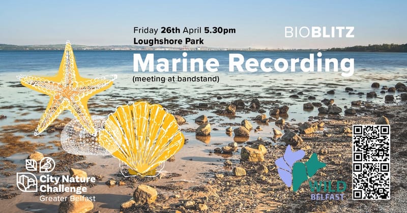 City Nature Challenge - Marine Recording