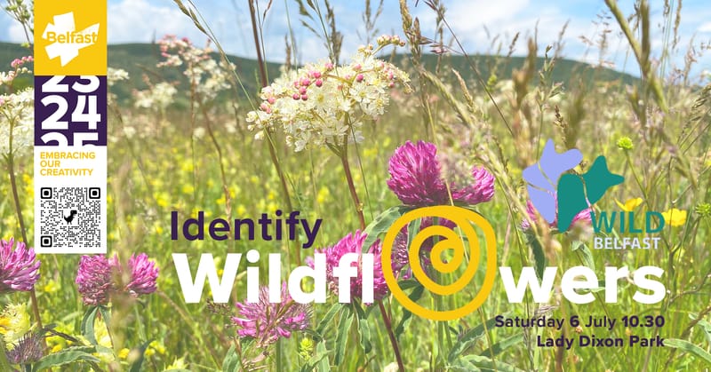 Wildflower Identification