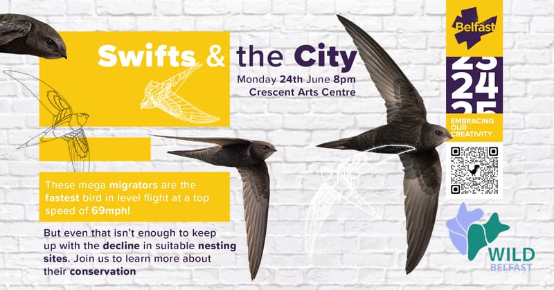 Swifts & the City