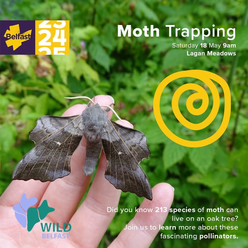 Moth Trapping