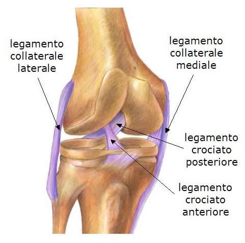 Rottura del Legamento Crociato Anteriore (LCA): Cause, Interventi Chirurgici e Ruolo Cruciale della Fisioterapia nel Recupero